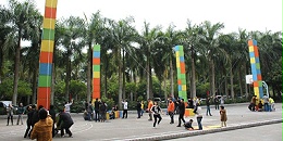 ҵչ